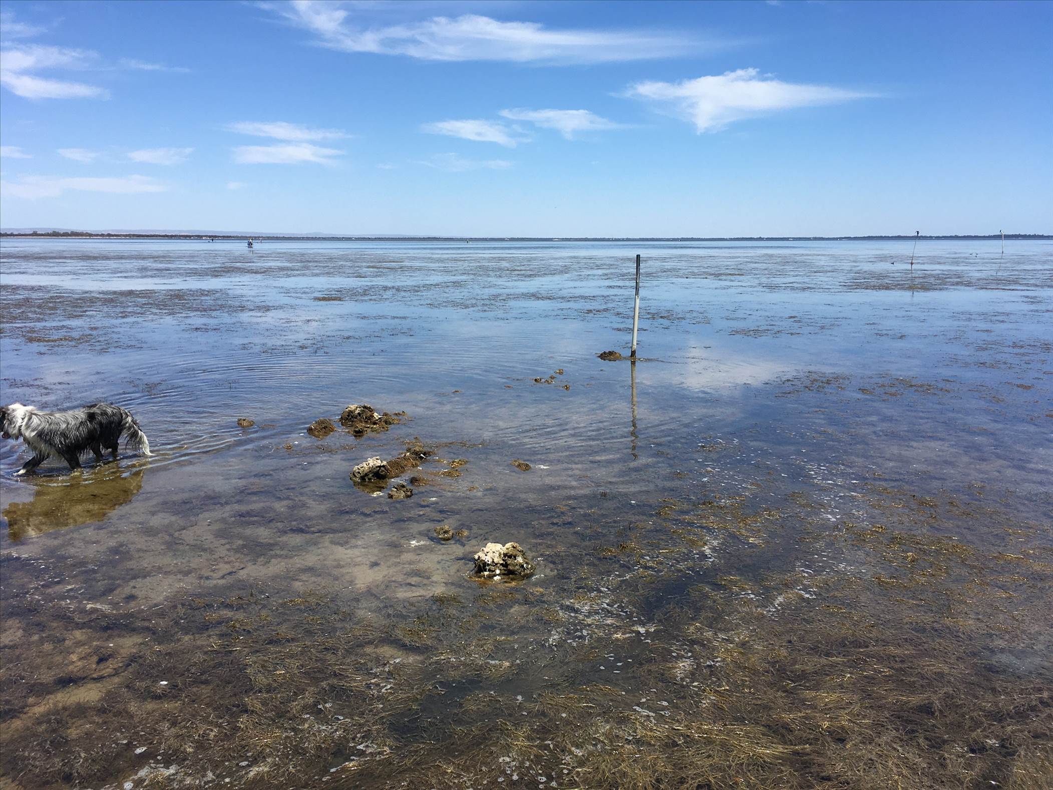 Coodanup Rocks