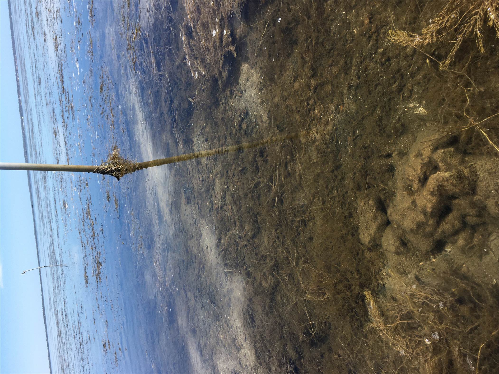 Coodanup Rocks