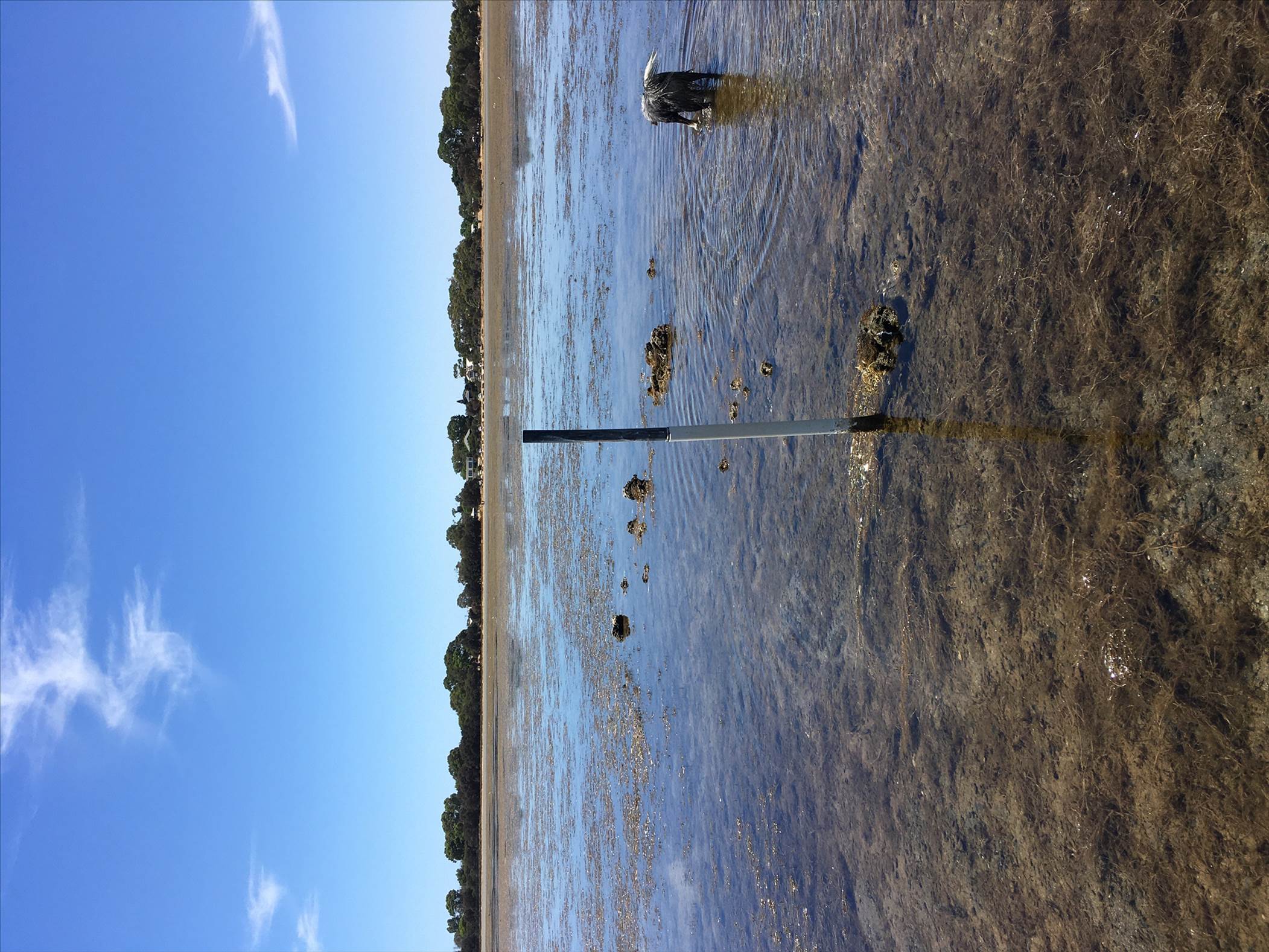 Coodanup Rocks