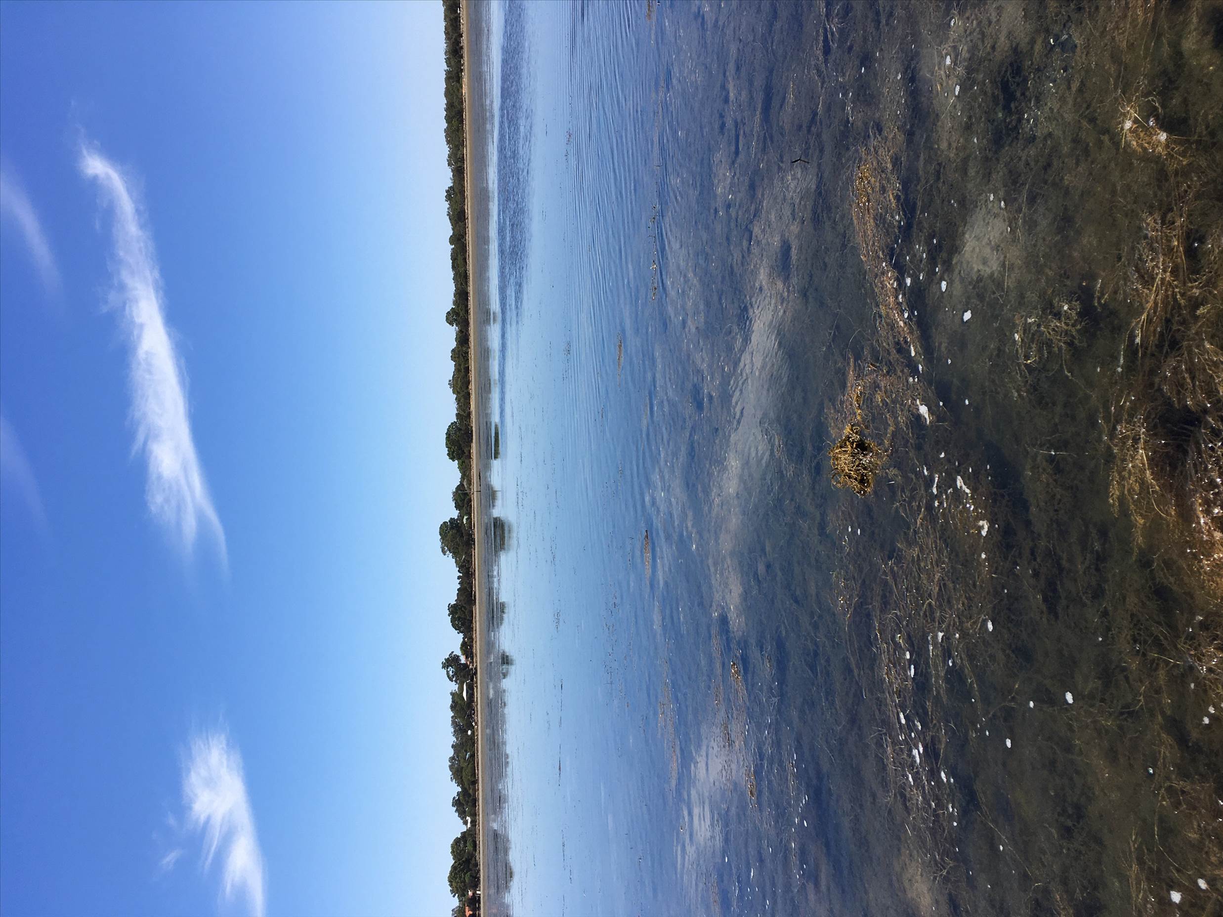 Coodanup Rocks