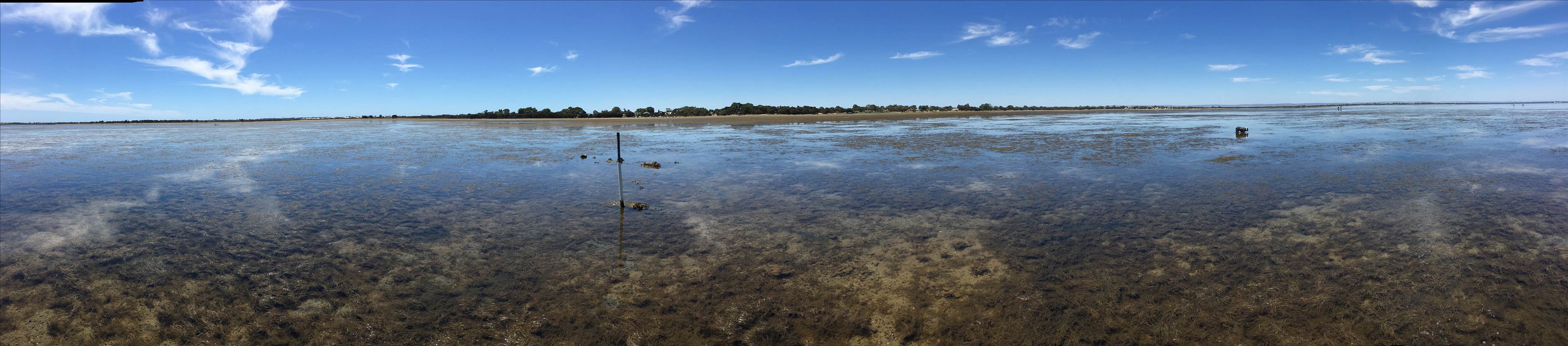 Coodanup Rocks