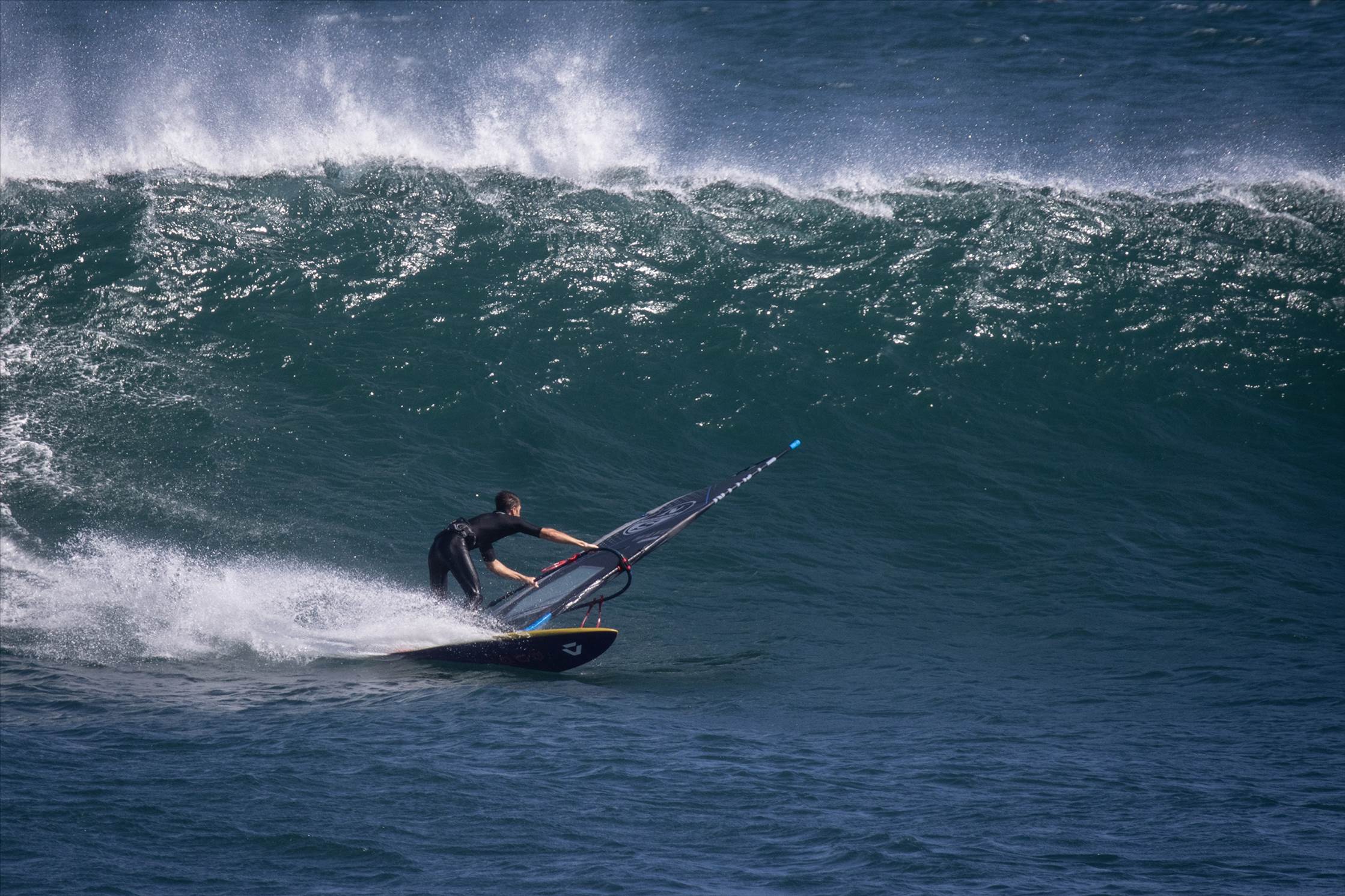 NSWWA East Coast Titles