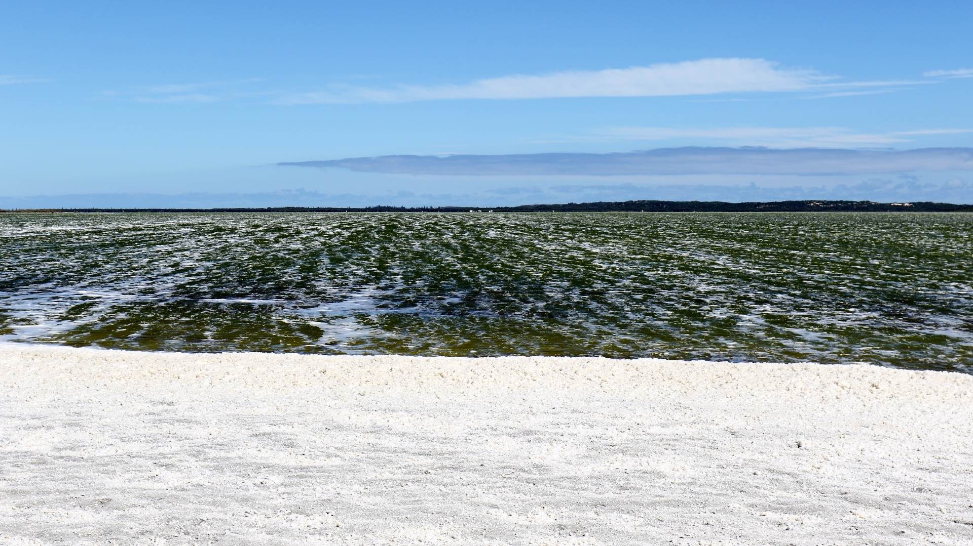 The Spit