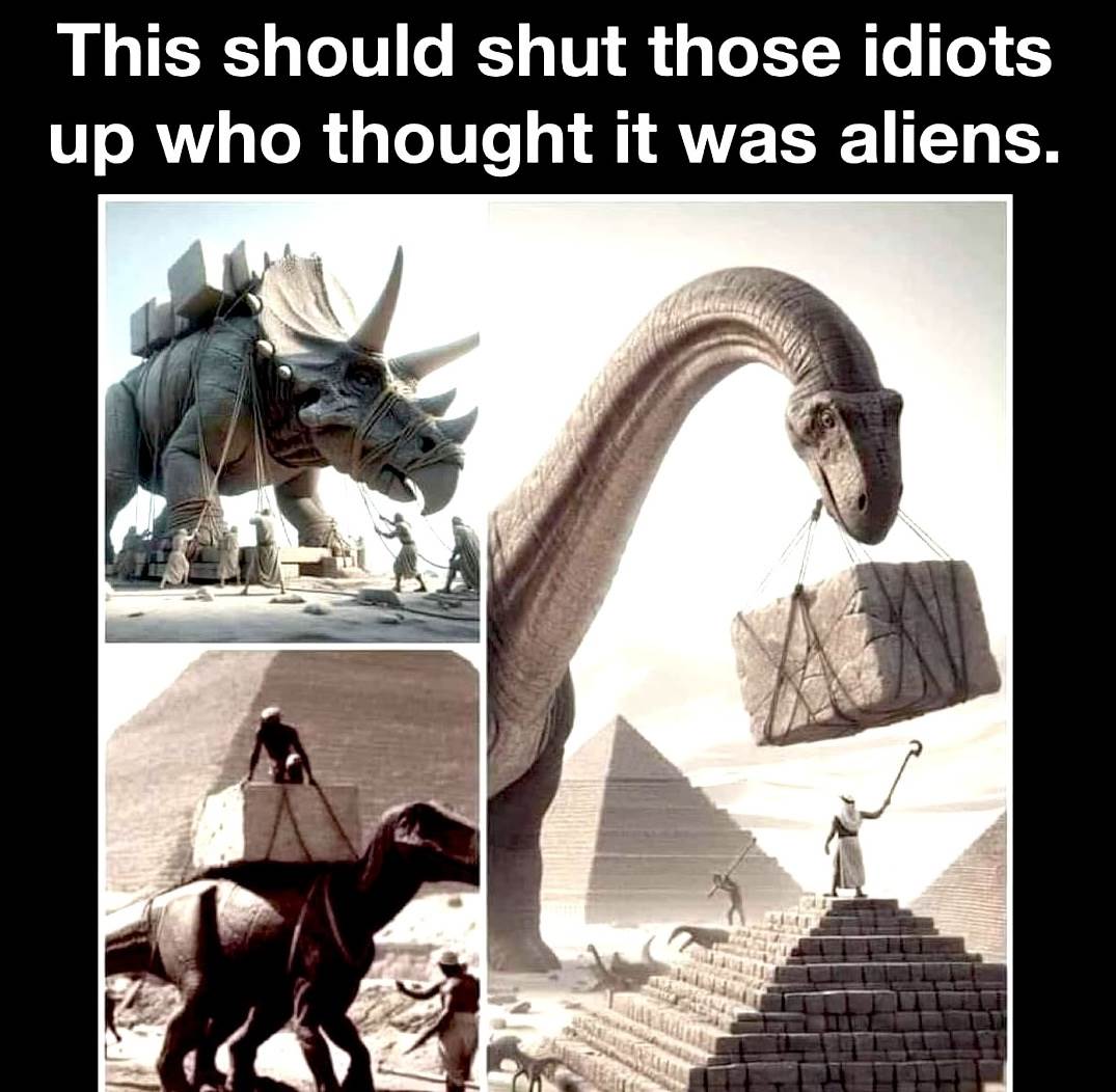 not aliens