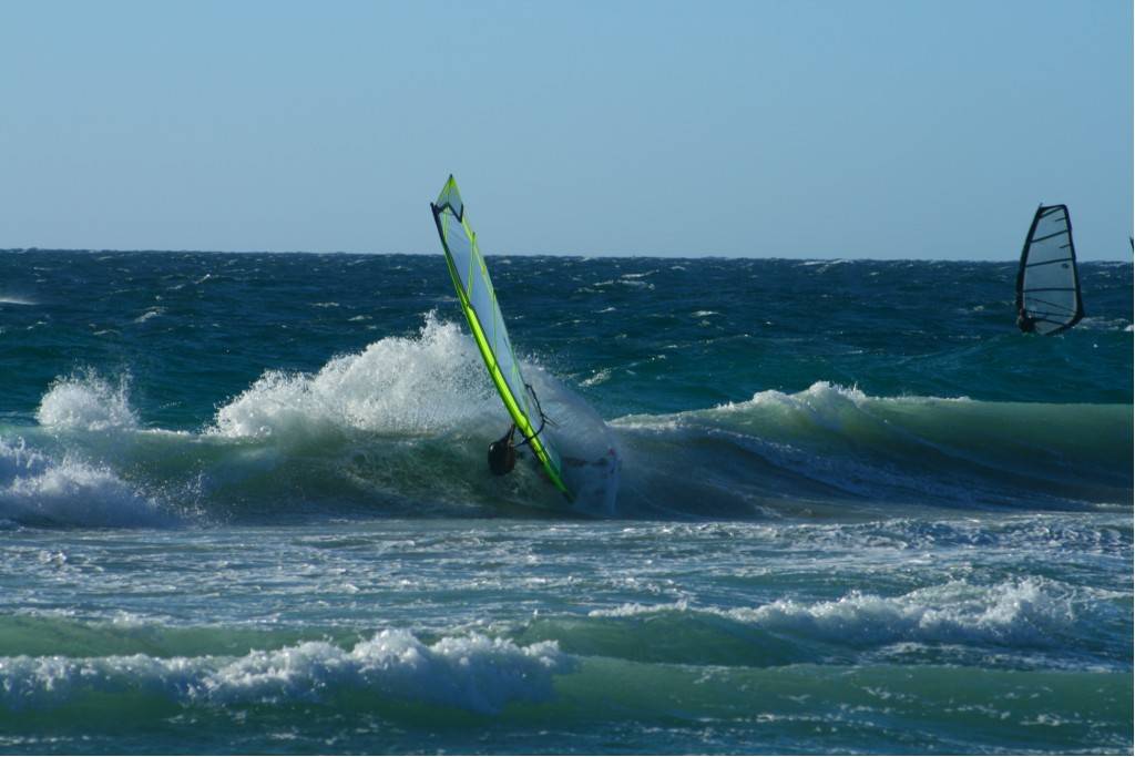 Scabs 17-12-08