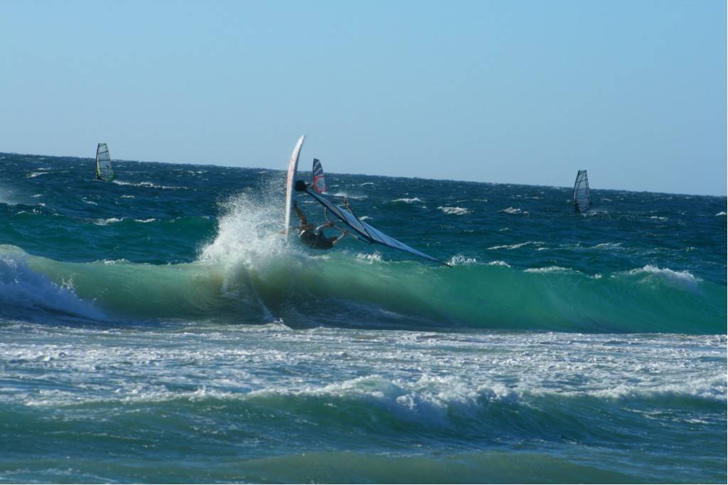 Scabs 17-12-08
