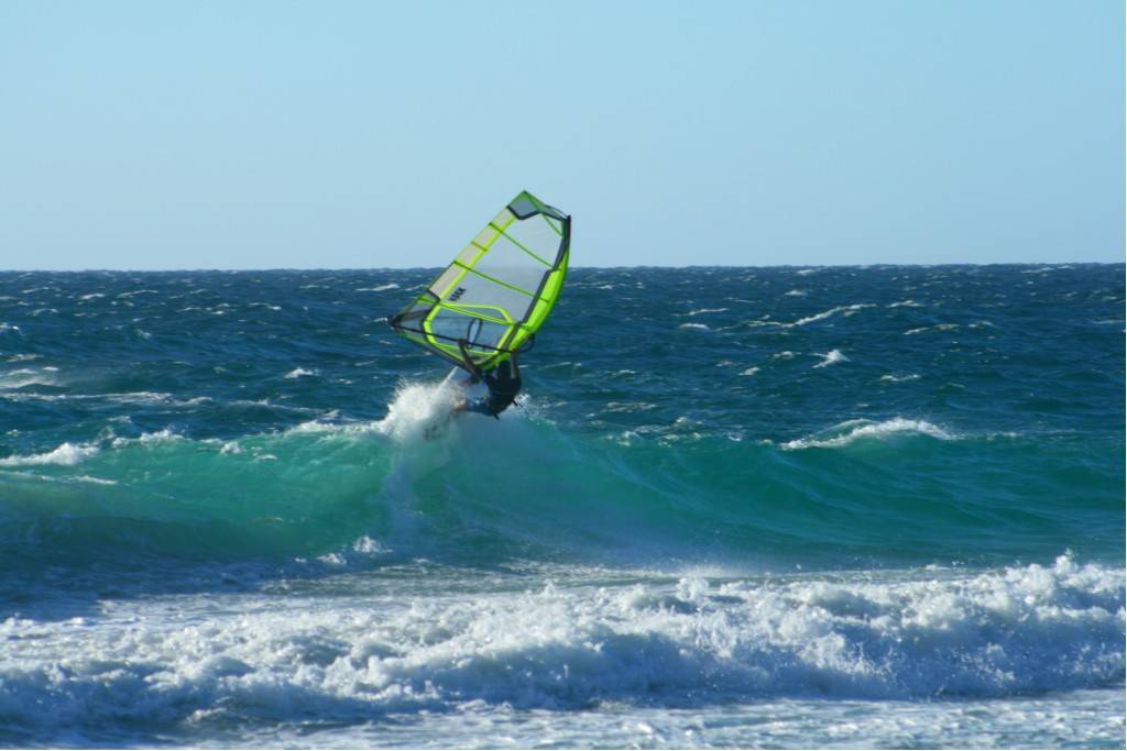 Scabs 17-12-08