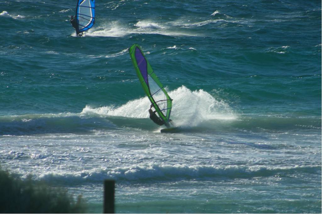 Scabs 17-12-08