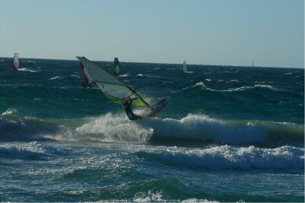 Scabs 17-12-08