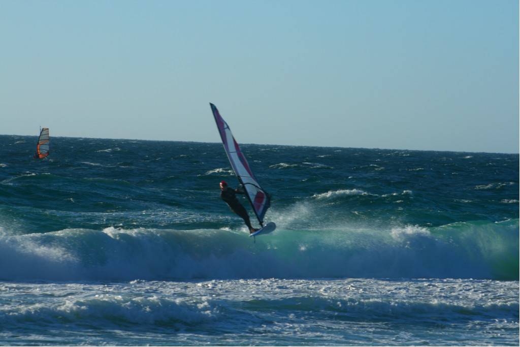 Scabs 17-12-08