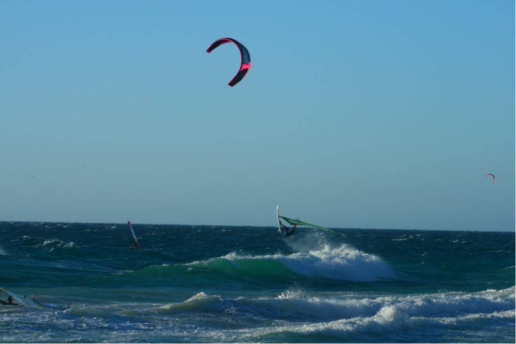 Scabs 17-12-08
