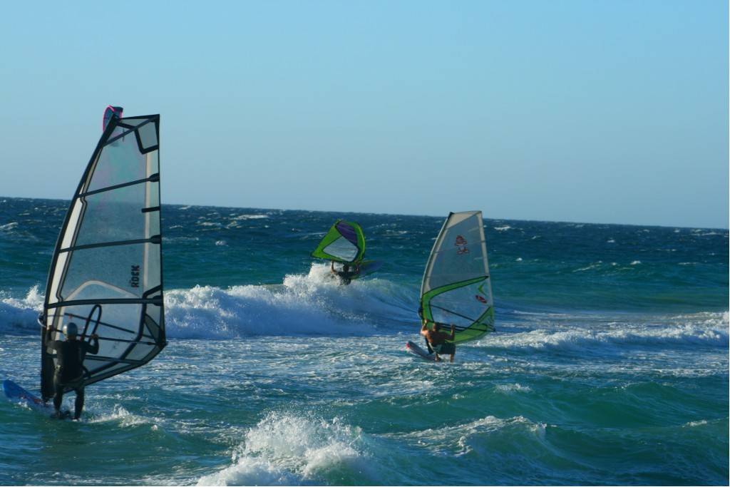 Scabs 17-12-08