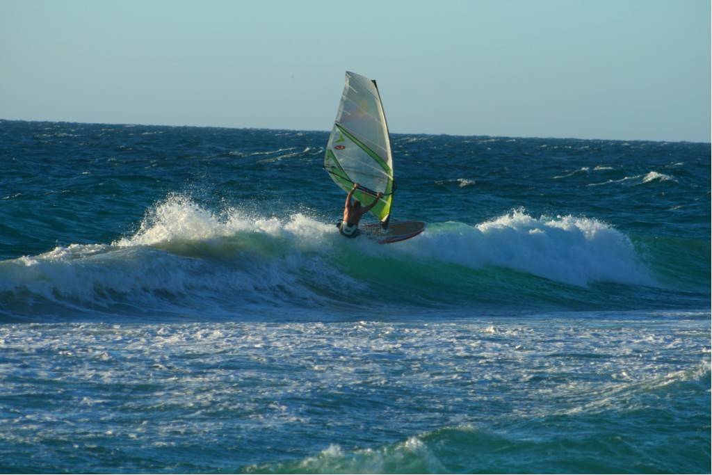 Scabs 17-12-08