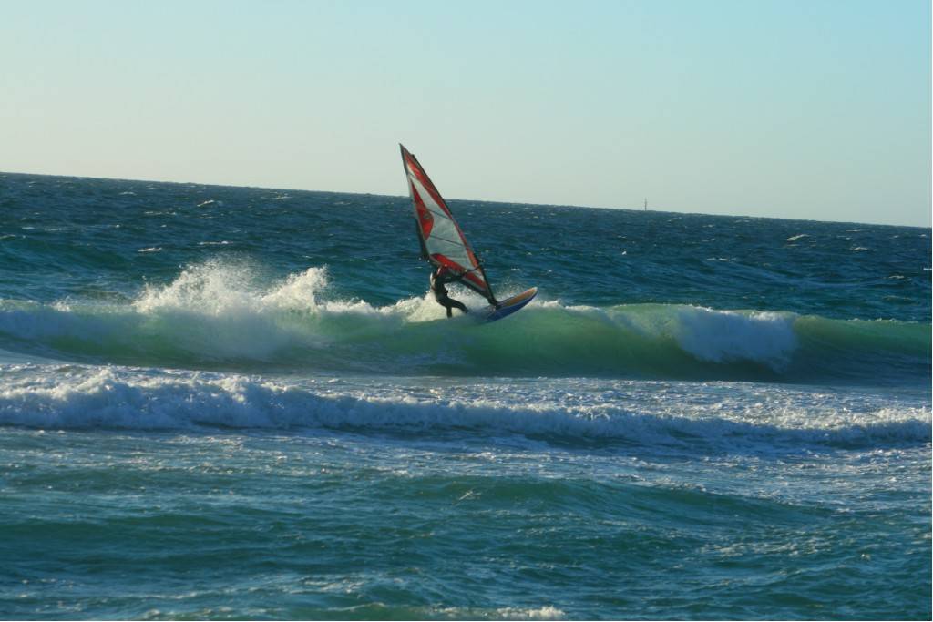 Scabs 17-12-08