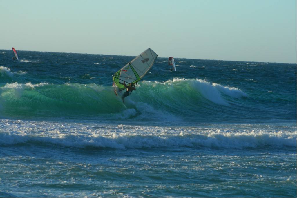 Scabs 17-12-08