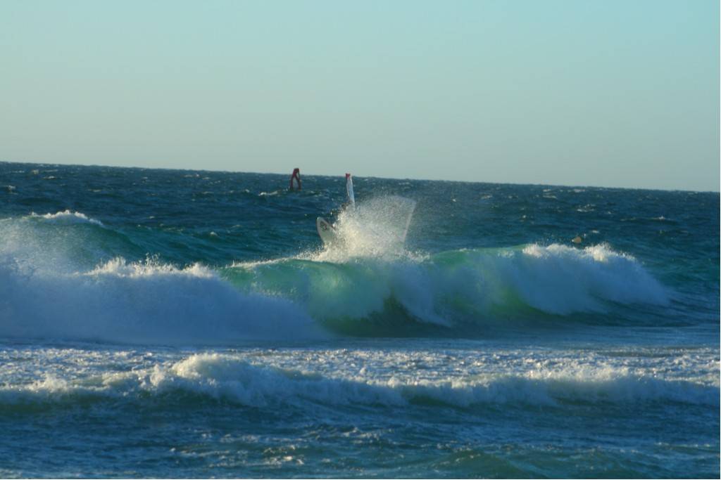 Scabs 17-12-08
