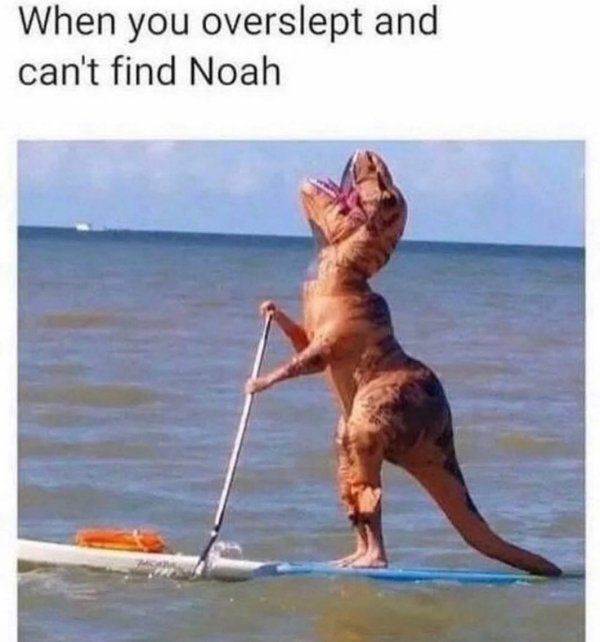 28 Photos So Dumb They Might Be Funny