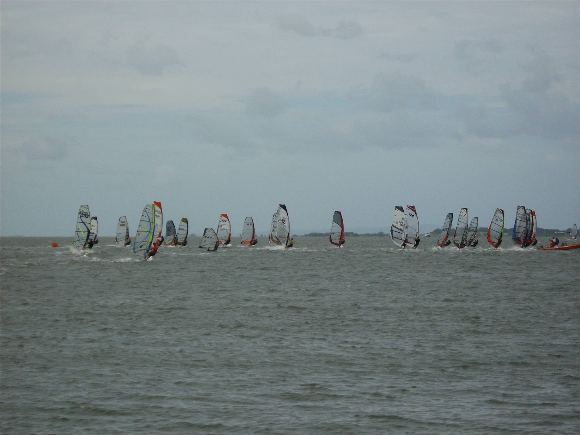 waterloo cup 09