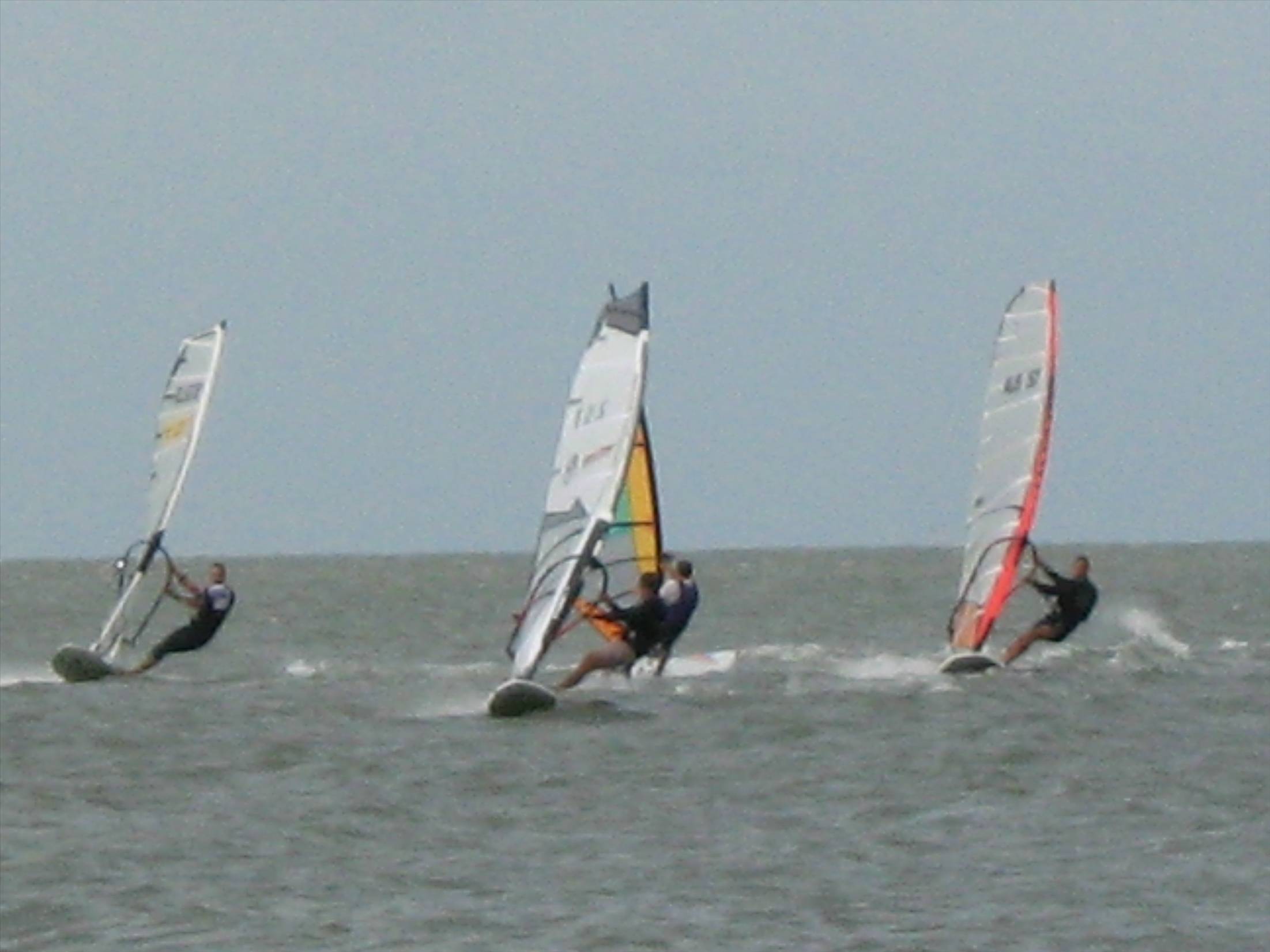 waterloo cup 09