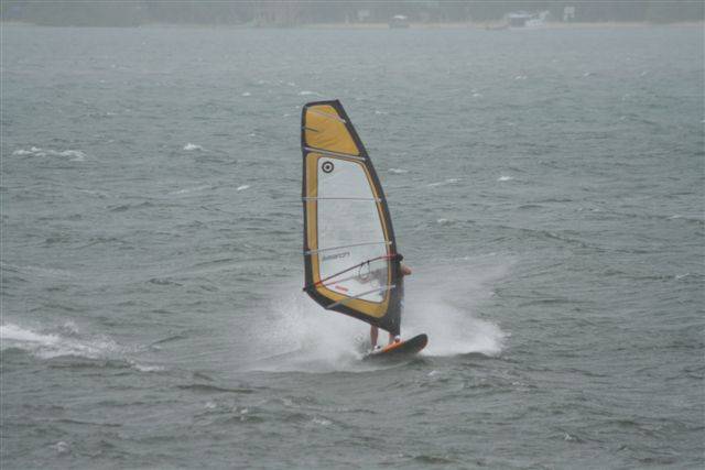 shearwater sat 3 jan 09