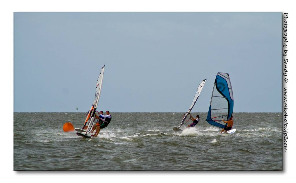 Waterloo Cup 04.01.09