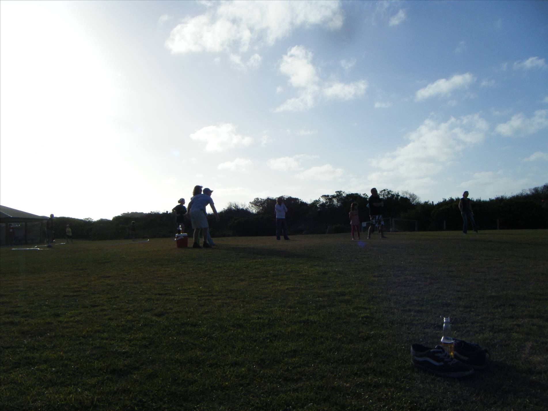 cricket