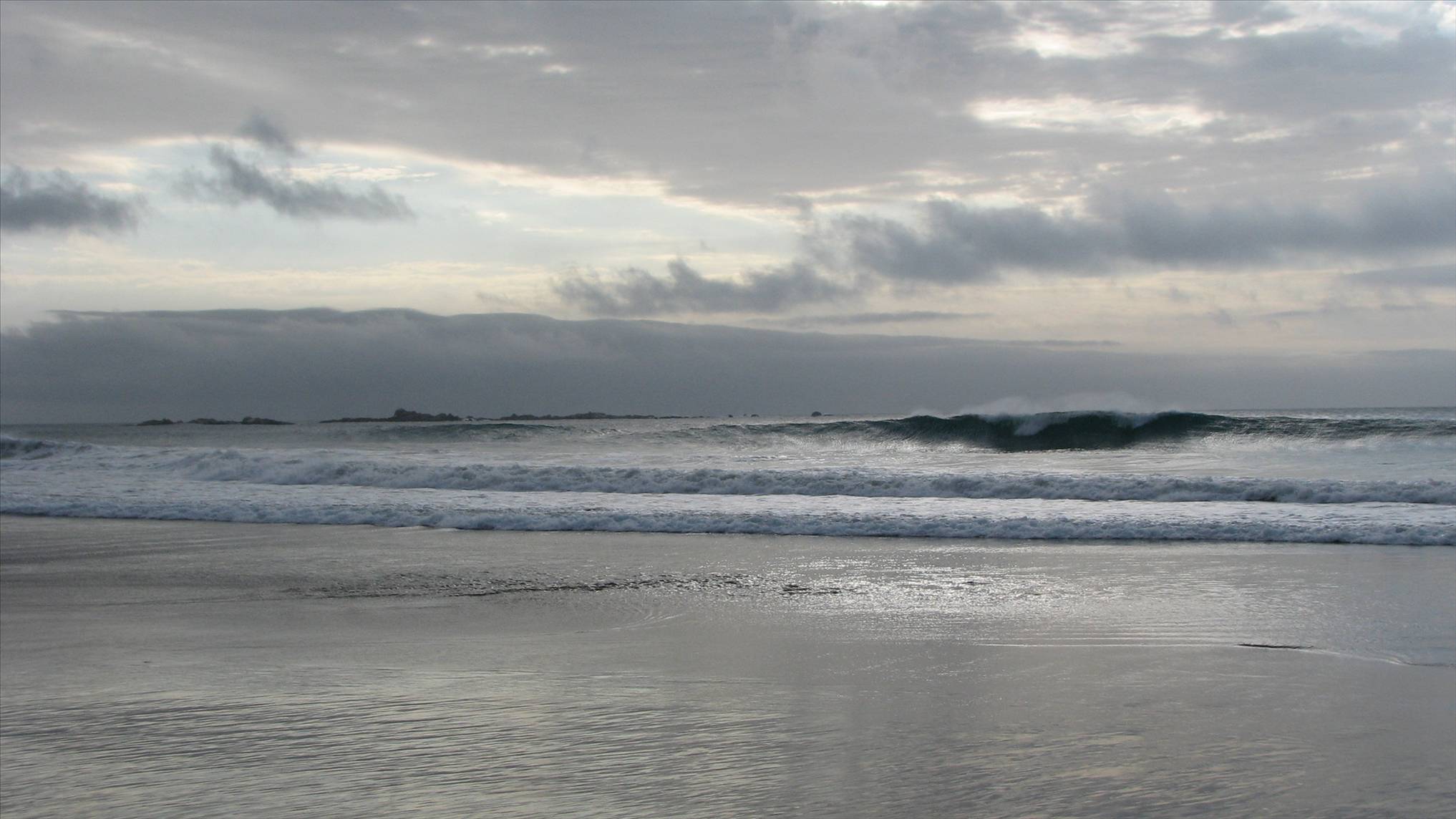 Fly Cove