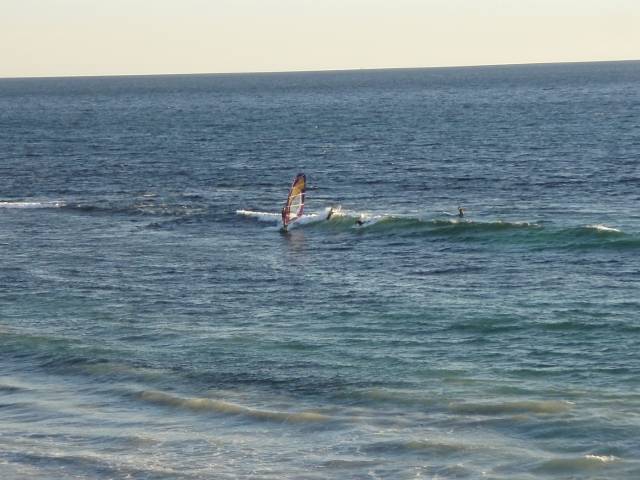 Bertie light wind wave sailing