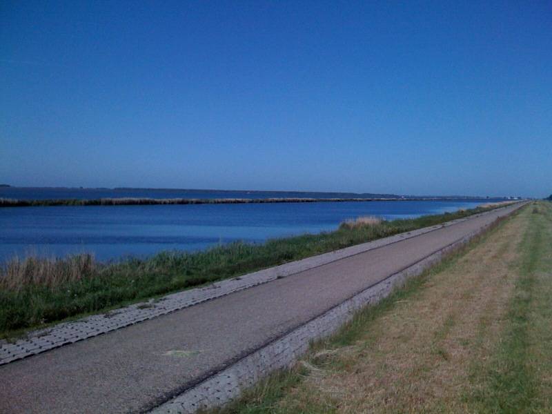 hollands