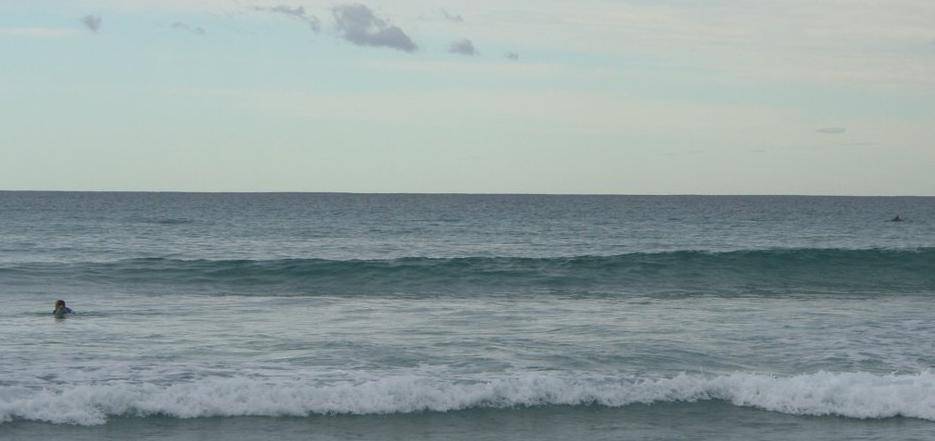 Caves Beach locals