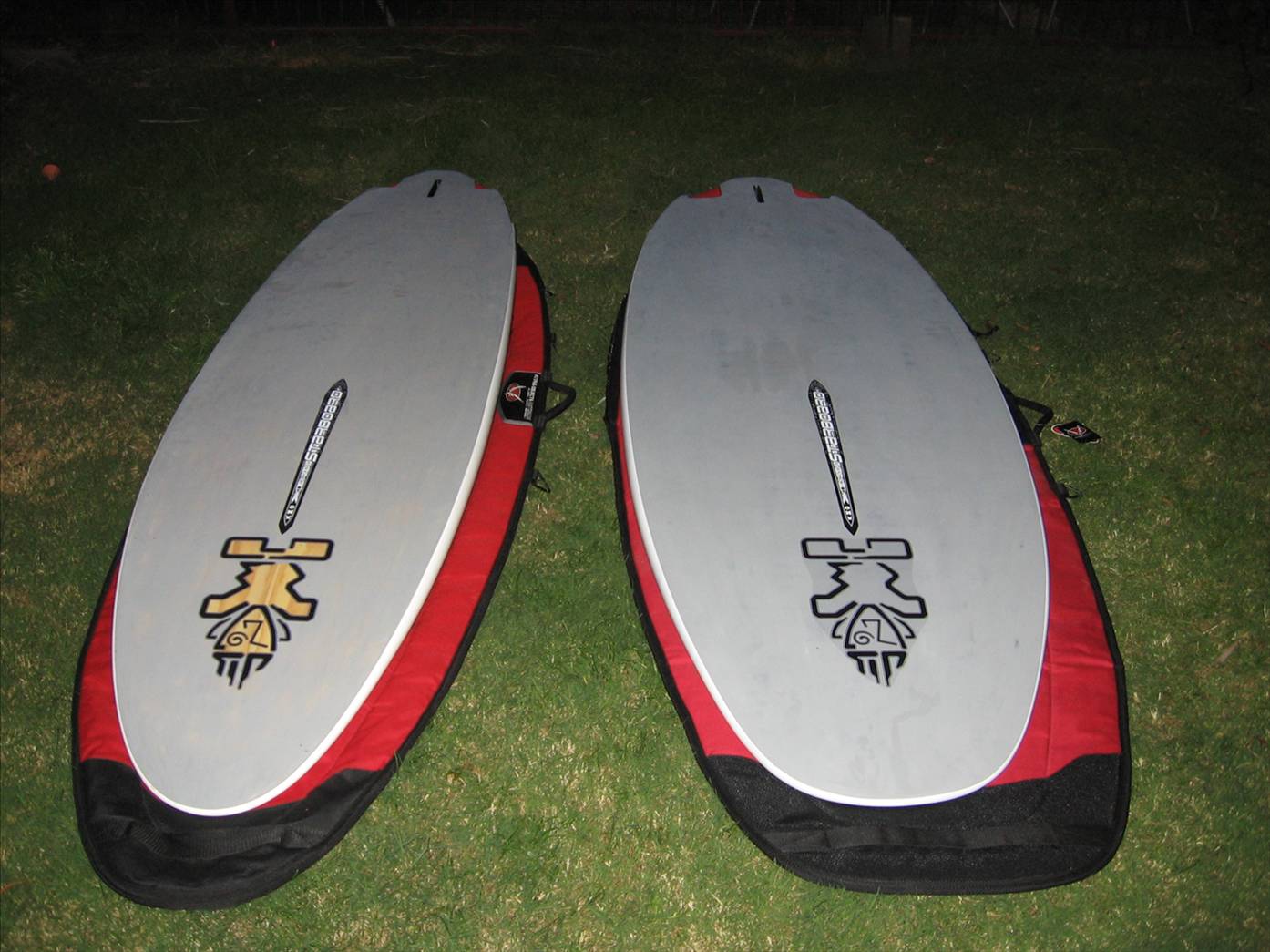 2010 Isonics
