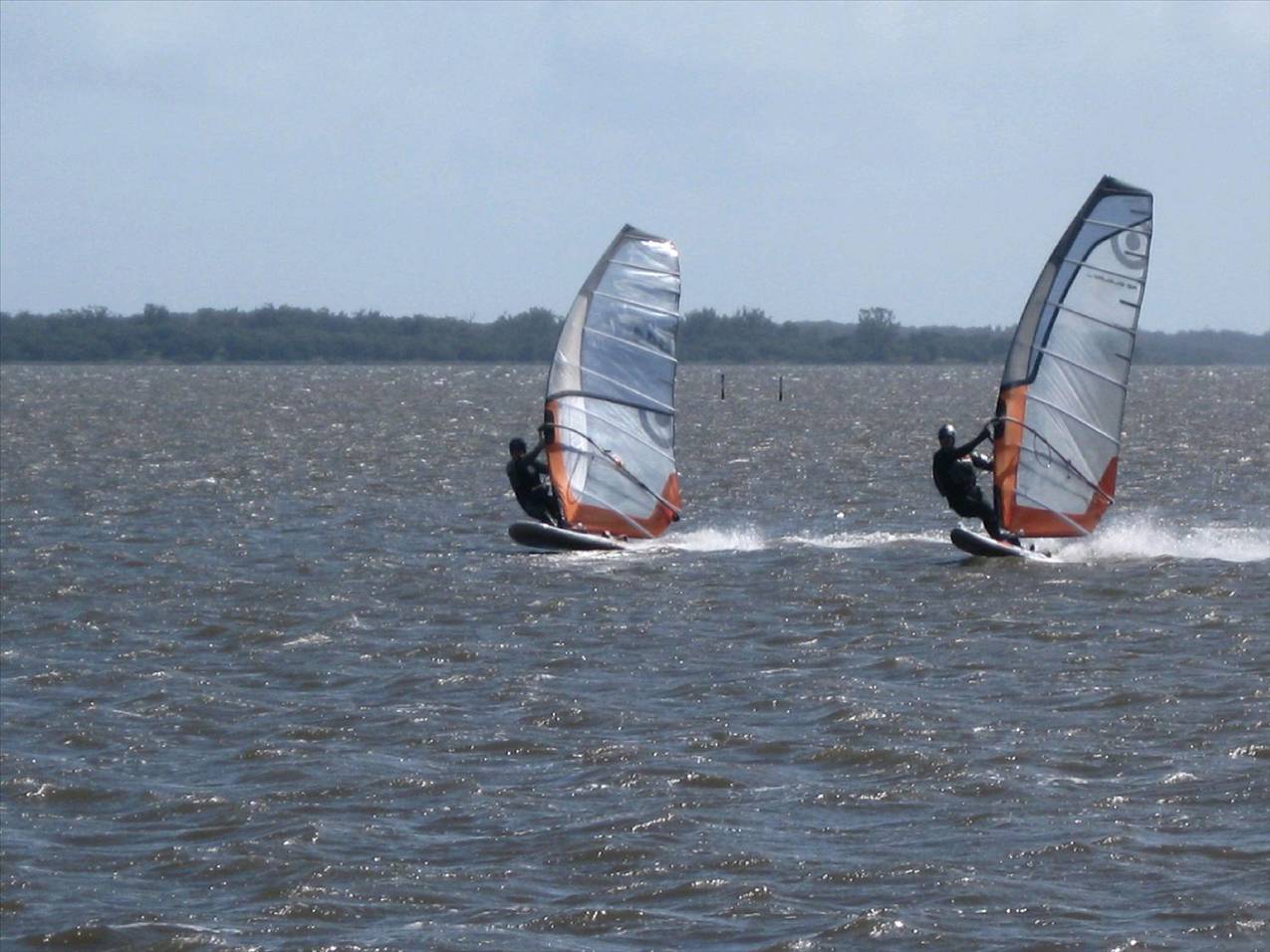windy & cold
