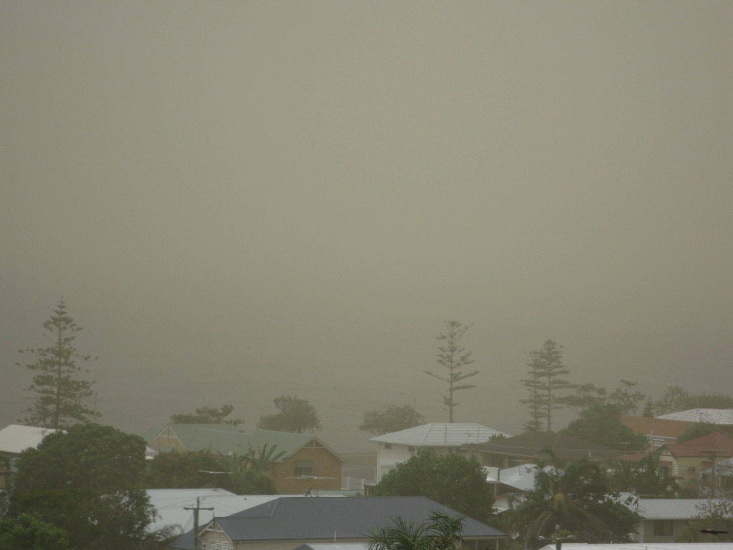 View From My office (Wynnum) to Wello