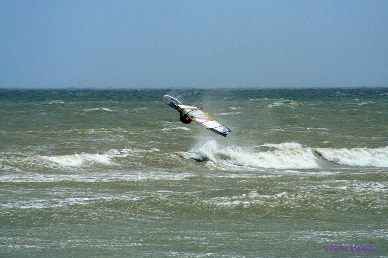 Photos at seacliff 26/9/09 by Vikki Collis