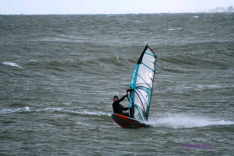 Photos at seacliff 26/9/09 by Vikki Collis