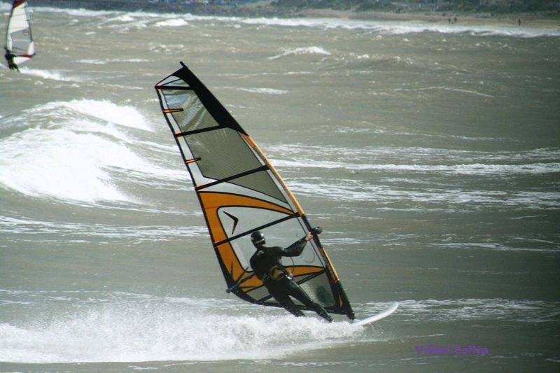 Photos at seacliff 26/9/09 by Vikki Collis
