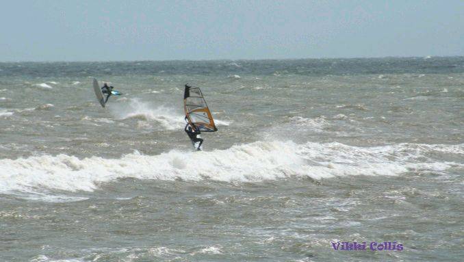 seacliff 082