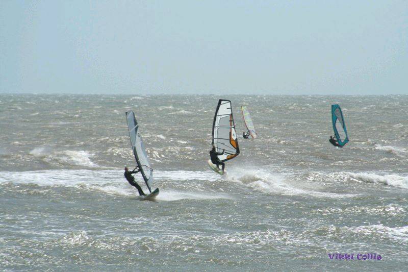 seacliff 097