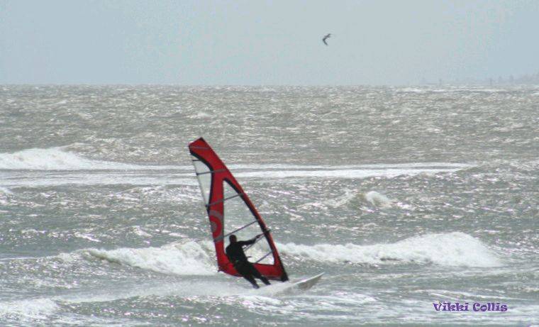 seacliff 100