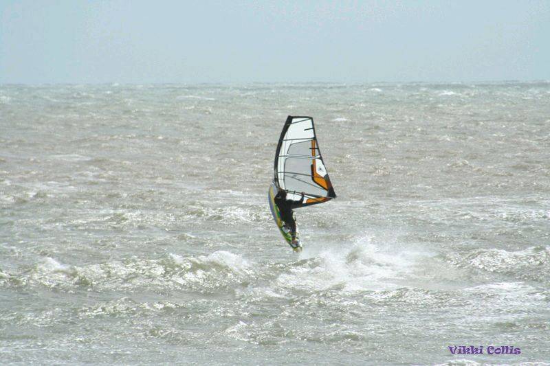 seacliff 118