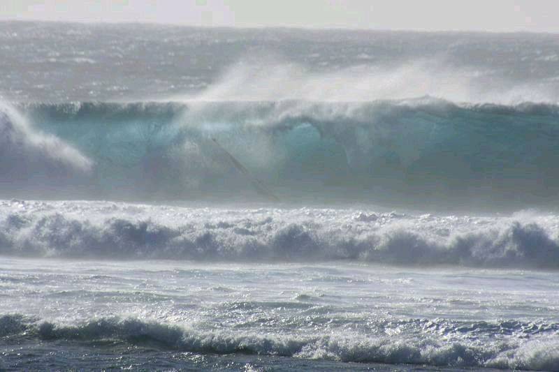 wind4