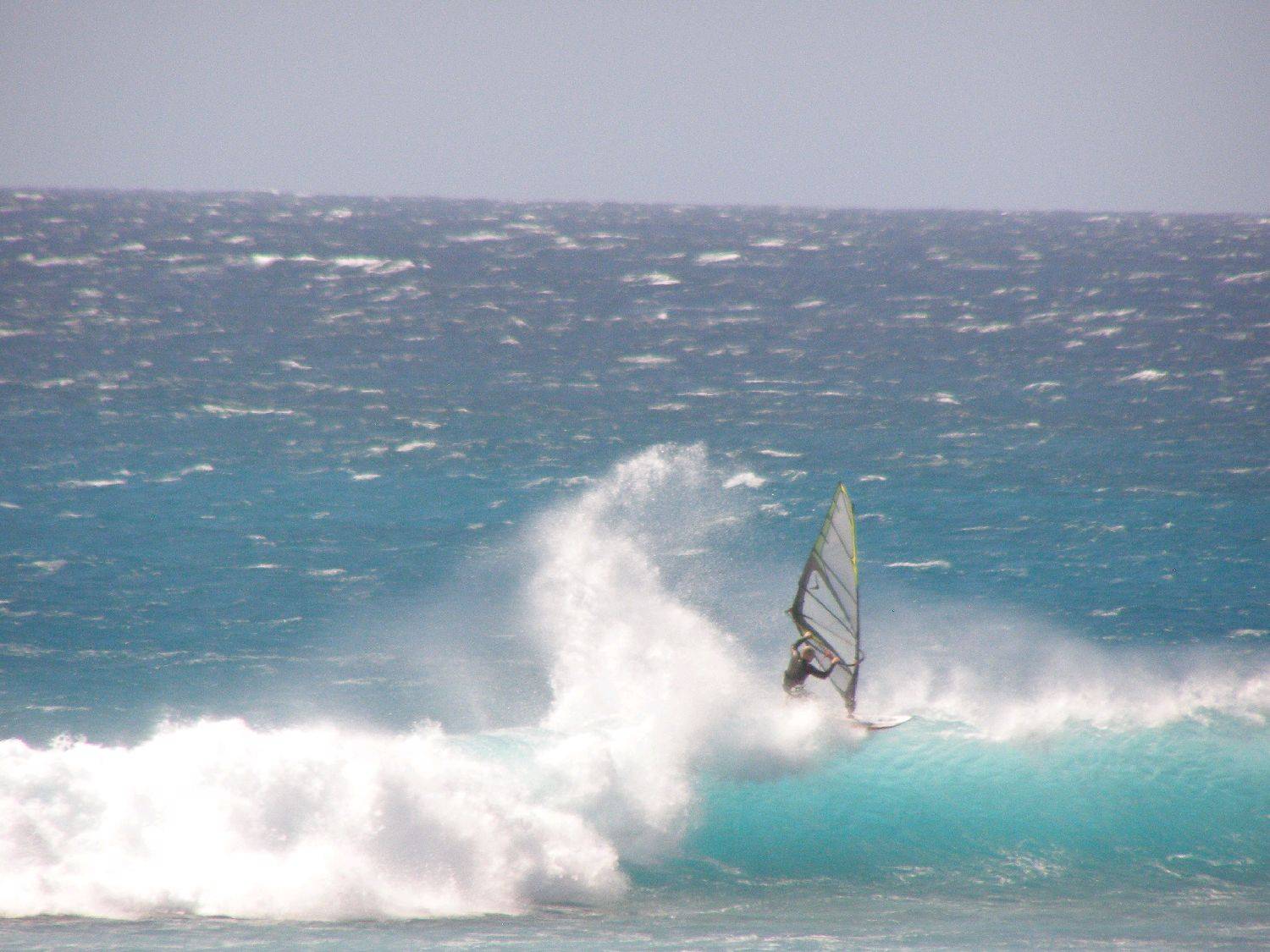 Scott McKercher