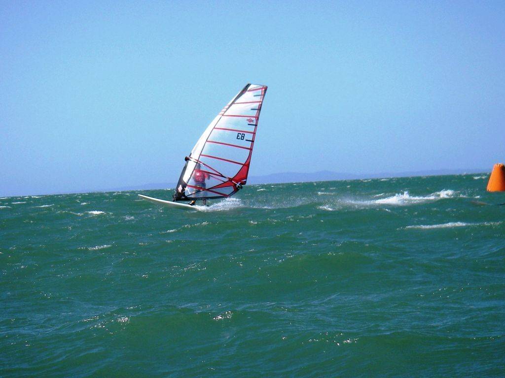 wynum (22)