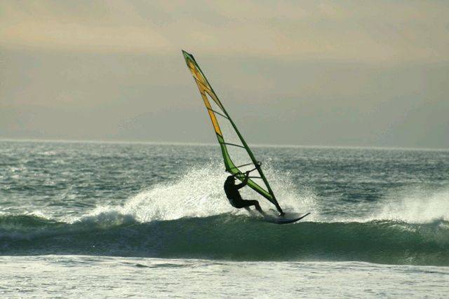 Photo's by Vikki Collis