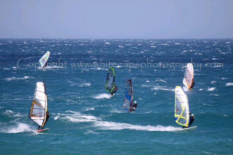 SHQ Cup event Wave pics at Warratah Bay on Tue
