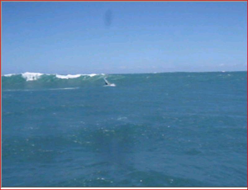Hells Gates 25 11 09