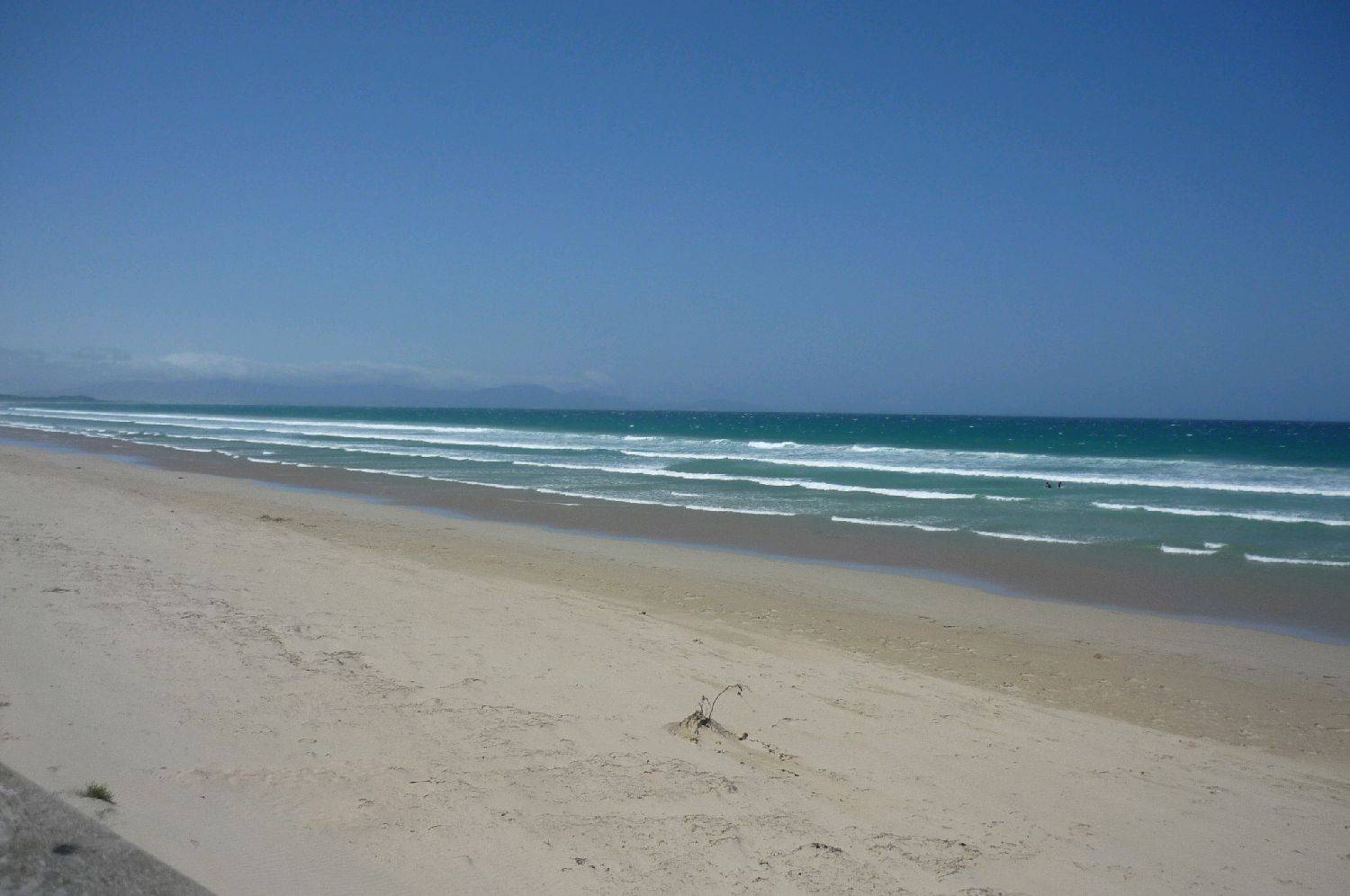 jan2010 085