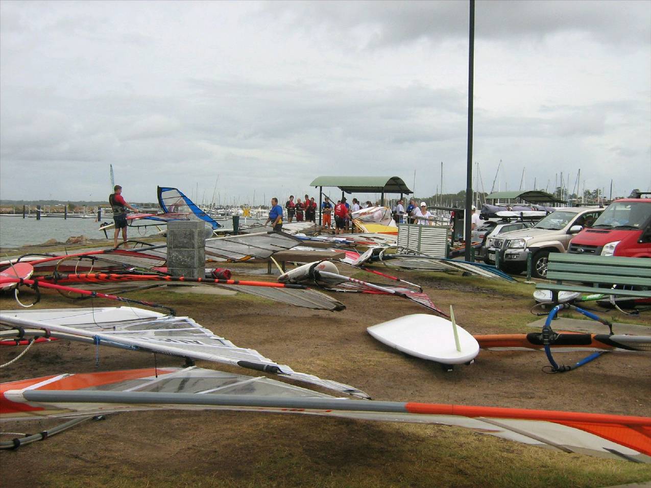 waterloo cup 10 008