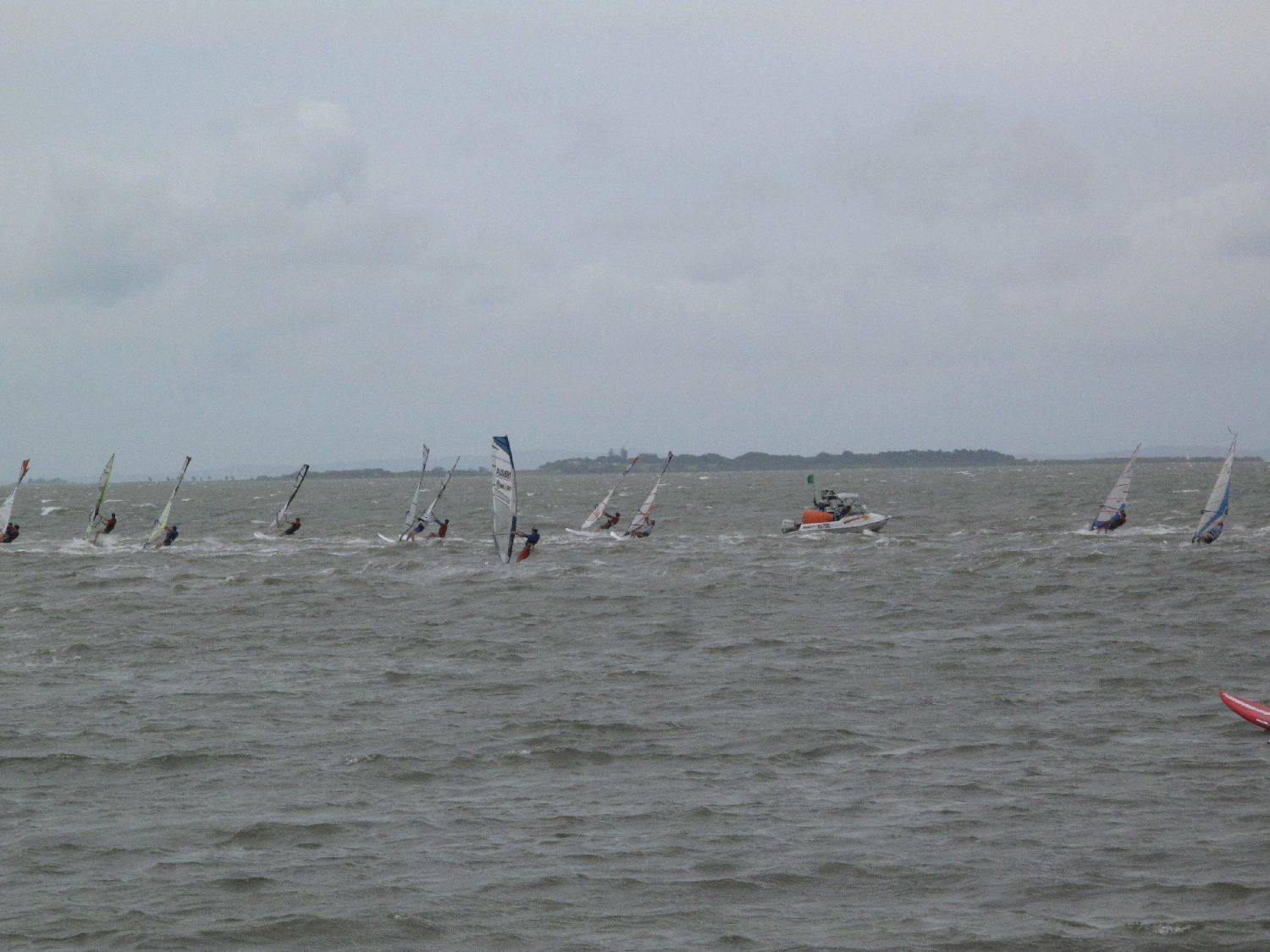 Waterloo Cup 2010