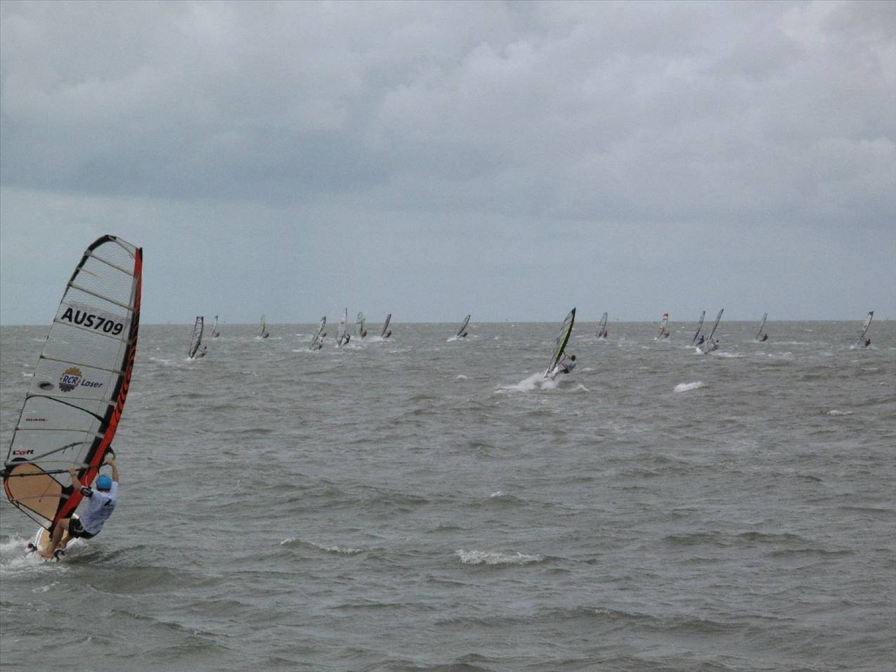 Waterloo Cup 2010